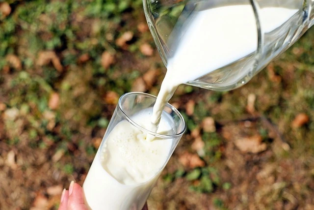 Top Vitamins for Bones