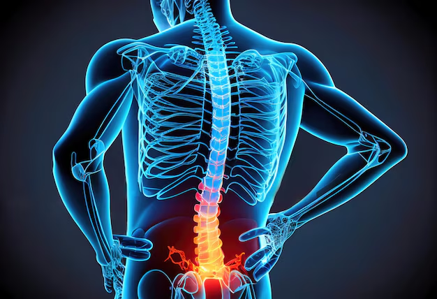 Back Pain Relief