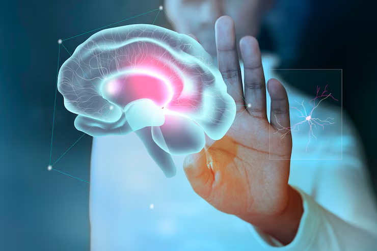 Cognitive Function