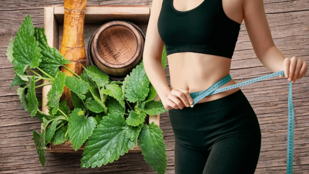 Lose Weight Fast