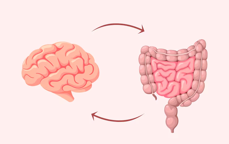 Gut-Brain Wellness