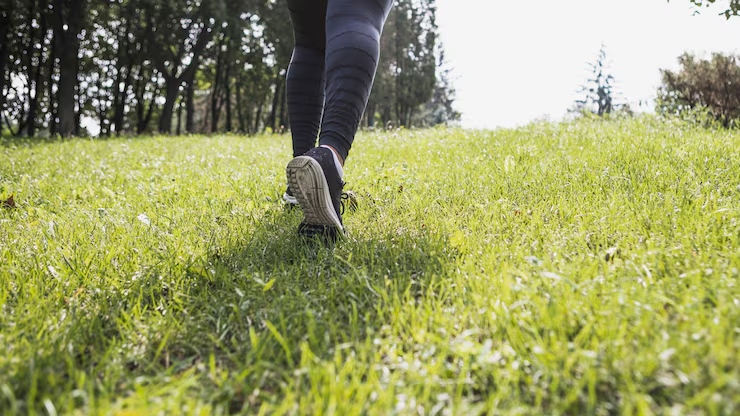 Embrace Nature as a Daily Habit