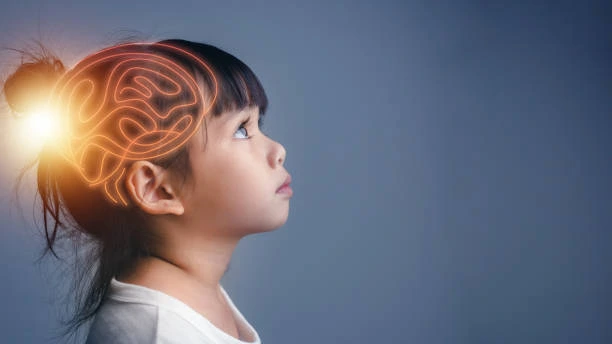 Brain Vitamins for Kids - Why Brain Vitamins Are Important