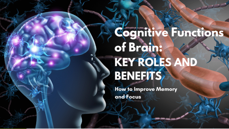 cognitive functions of brain