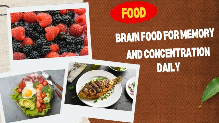 brain food for memory and concentration