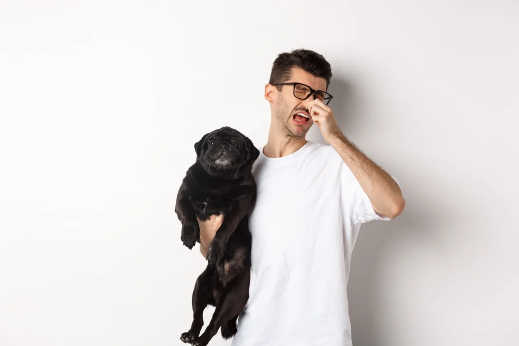 Signs Your Dog Needs Dental Care - oral care for dogs