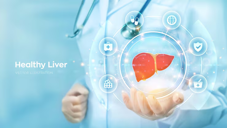 Healthy Liver