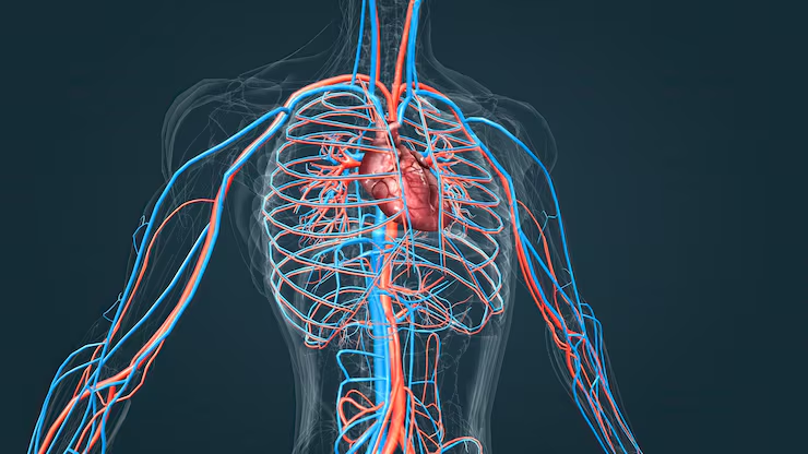 Vitamins for Blood Circulation