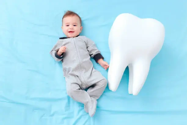 Baby Teeth Development - oral care for babies
