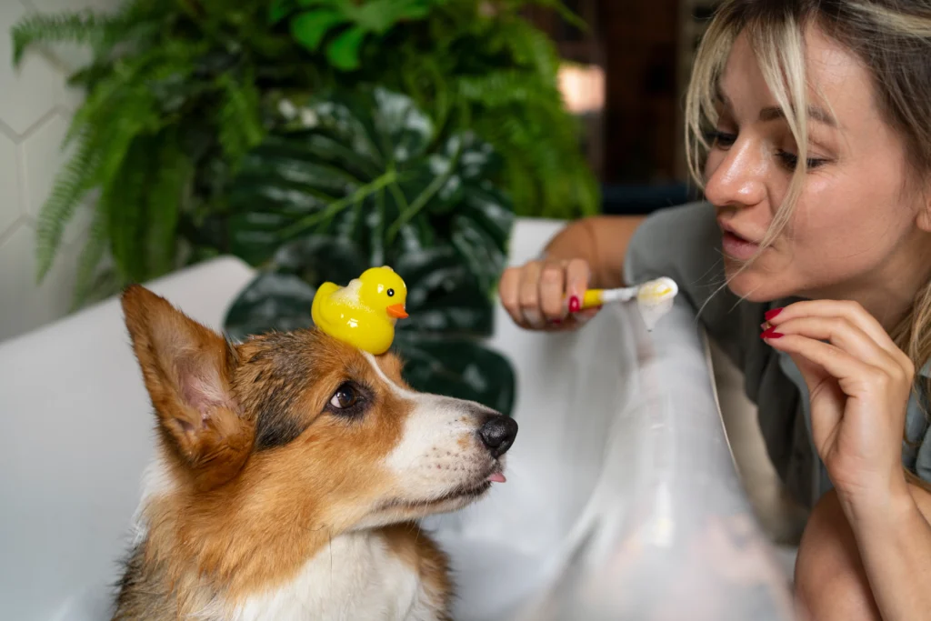 Home Oral Care Routine for Dogs - oral care for dogs
