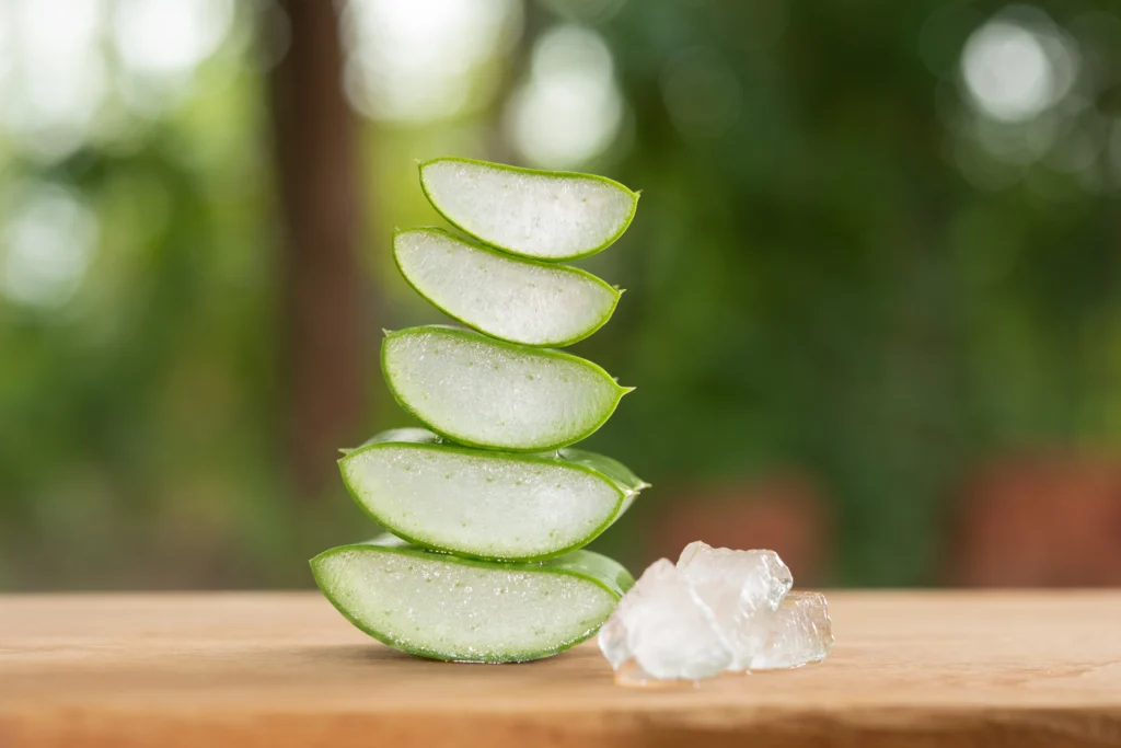 Aloe Vera- Natural Supplements for Diabetes Aloe Vera- Natural Supplements for Diabetes